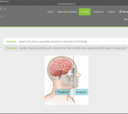 Inside Anatomy