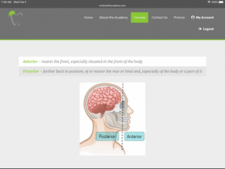 Inside Anatomy
