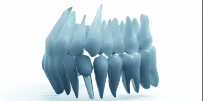 Dental Anatomy Teeth