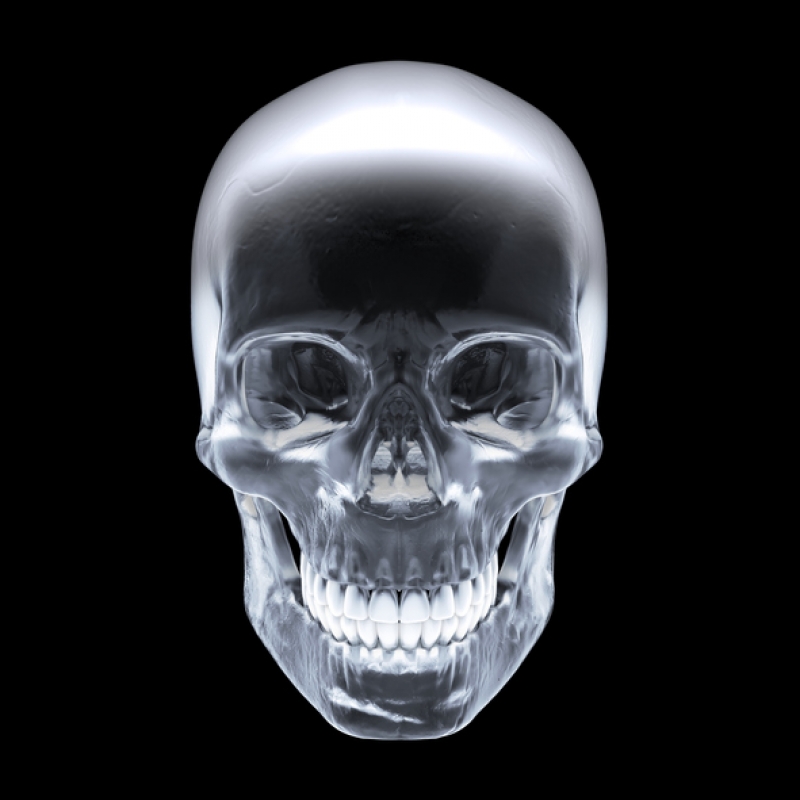Lesson 1: Basic Anatomy of the Head and Face